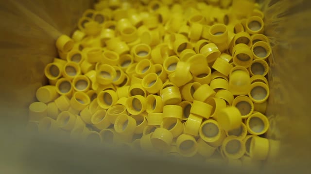 Conveyor. Production Of Plastic Caps