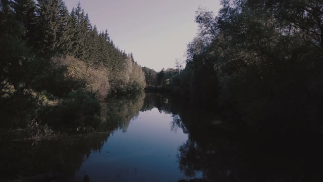Quiet River Between Trees