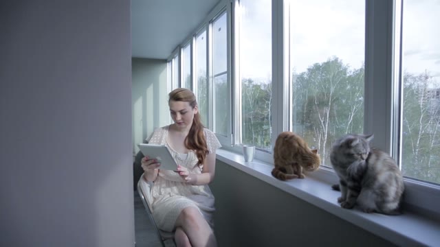 Girl With Tablet Sitting By The Window And Drink Of The Cup.