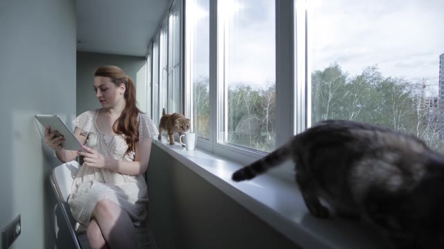 Girl With Tablet Sitting On The Balcony At The Window . Cats Walk On The