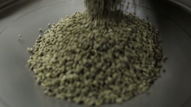 Not Roasted Coffee Beans