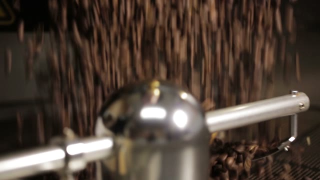 Coffee Beans Poured Into Roasted Machine