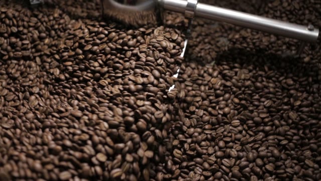 Batch Of Freshly Roasted Coffee Beans Cooling After Emerging From A Roaster