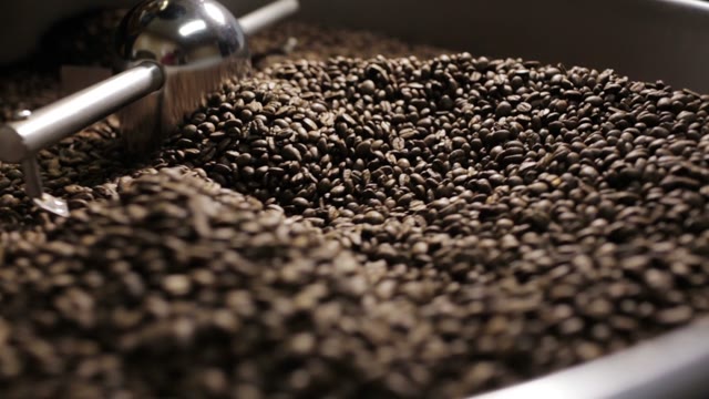 Coffee Beans After Roasting