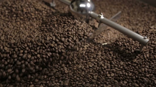 Batch Of Freshly Roasted Coffee Beans Cooling After Emerging From A Roaster