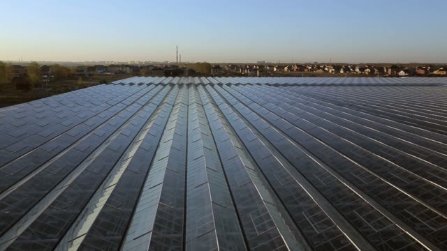 The Roof Of The Huge Greenhouses On The Sunset