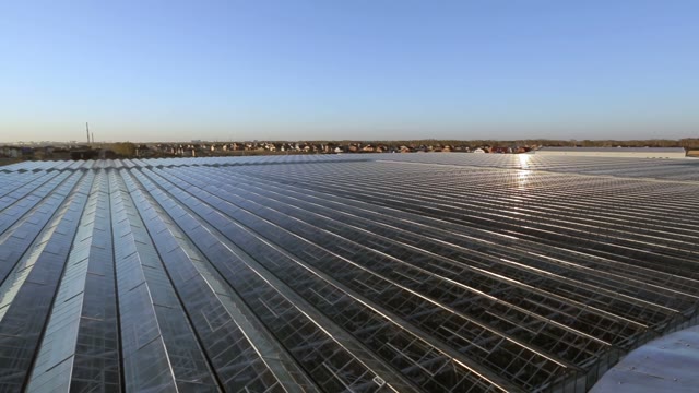 The Roof Of The Huge Greenhouses On The Sunset