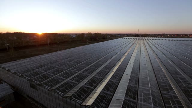 The Roof Of The Huge Greenhouses On The Sunset