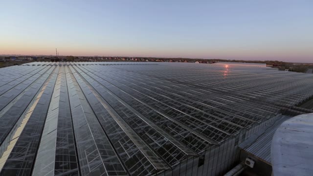 The Roof Of The Huge Greenhouses On The Sunset