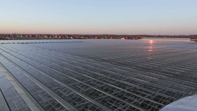 Panorama Roof A Huge Greenhouse. Reflection Of The Sun's Rays At The Corners Of