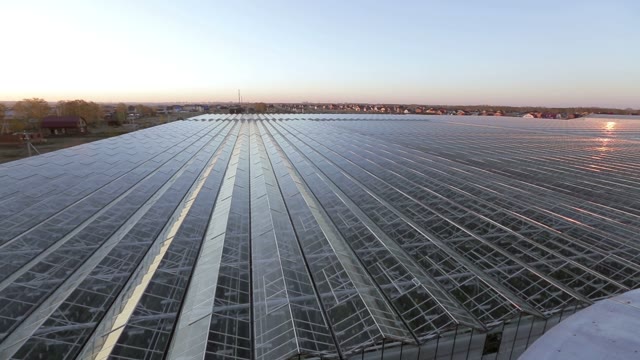 Top View Of The Huge Glass Roof Of The Greenhouse