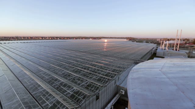Top View Of The Huge Glass Roof Of The Greenhouse
