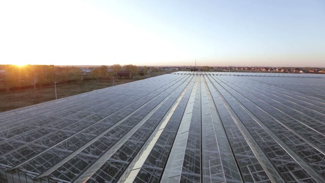 Top View Of The Huge Glass Roof Of The Greenhouse