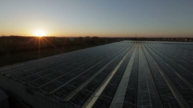 Top View Of The Huge Glass Roof Of The Greenhouse