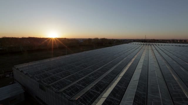Large Industrial Building With A Glass Angled Roof Reflecting The Sun's Rays