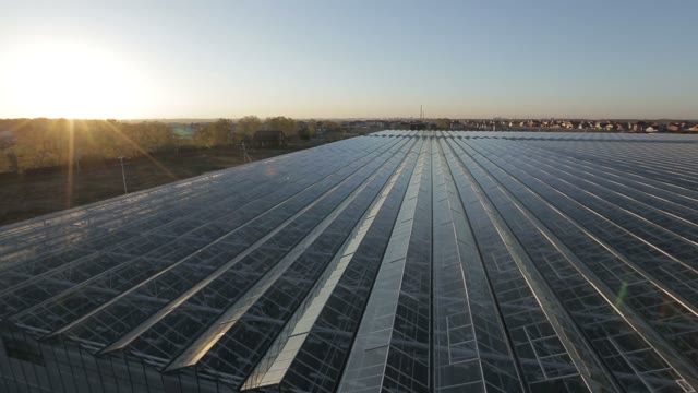 Large Industrial Building With A Glass Angled Roof Reflecting The Sun's Rays