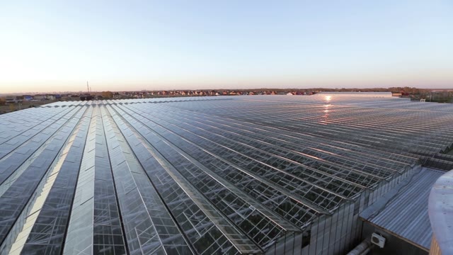 Reflection In Glass Roof Beams Large Greenhouses