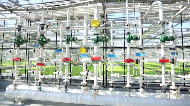 Greenhouse Pipe System. Valves And Piping