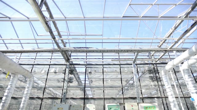 Switchboards With Buttons And Switches In The Greenhouse