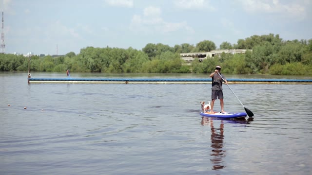 A Man With A Paddle And A Dog Floating On A Lake On The Board On The Pond