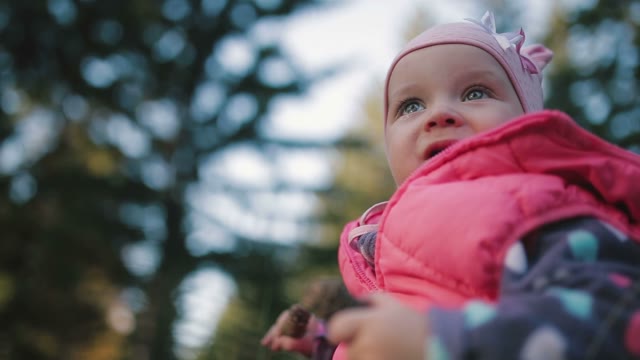 Close-up Of A Baby. In The Hands Holding A Fir Cones.