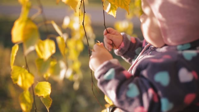 Little Cheerful Girl In Fall Foliage. Smiles.