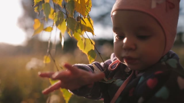 Little Girl Playing With Autumn Leaves.