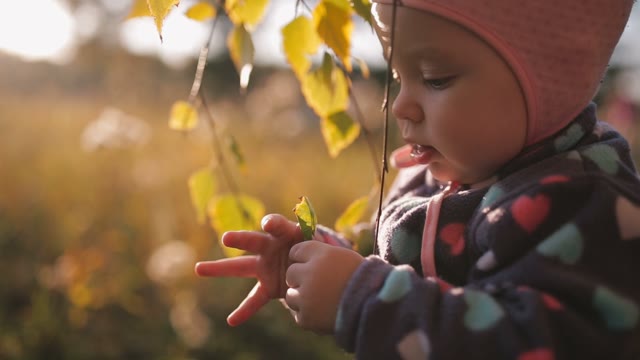 Little Girl Playing With Autumn Leaves And Smiling.