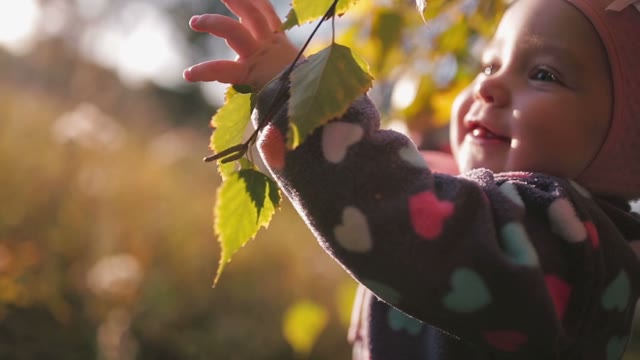 Little Girl Having Fun In The Autumn Leaves, At Her Bright Sunshine.