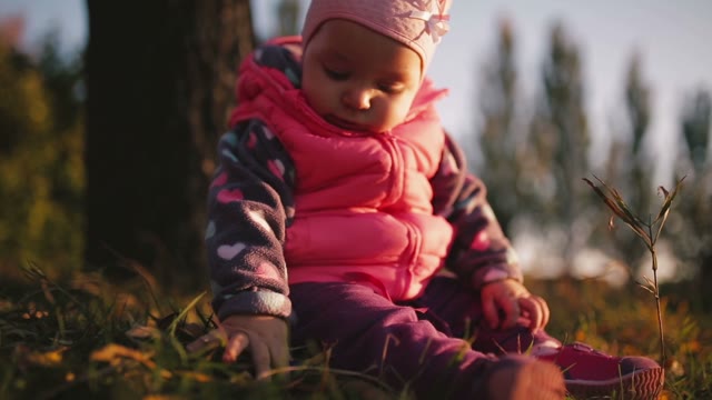 The Baby Sits On Autumn Glade, He Is Given A Petal. Fabulous Fall.