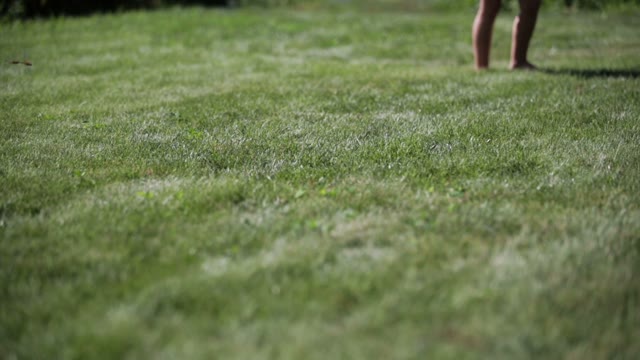 Little Girl In Pink Skirt Runs On The Lawn