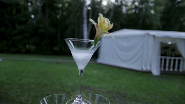 Glass With A Drink On The Nature Close Up