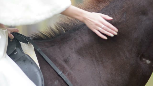 Bride Sitting On A Horse And Stroking It.