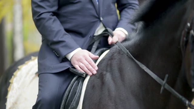 Bridegroom Sitting On A Horse And Slaps Him On The Neck.