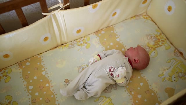 Cute Newborn Sleeps In A Cradle.