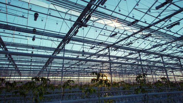 Industrial Greenhouses Time Lapse. Rising Sun 4K