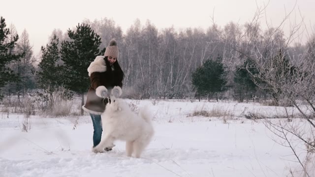 Cheerful Girl Playing With A Dog On A Snowy Meadow. Slowing Down.