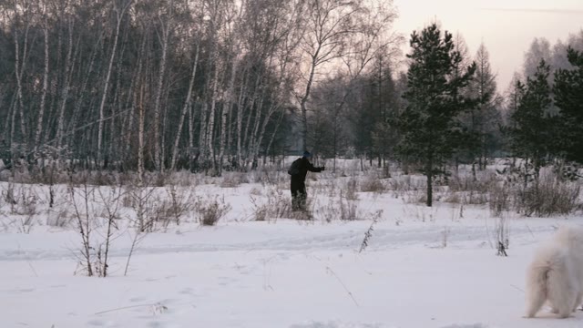 A Skier Rides In The Winter Park. Girl With A Dog Watching. Slow Motin