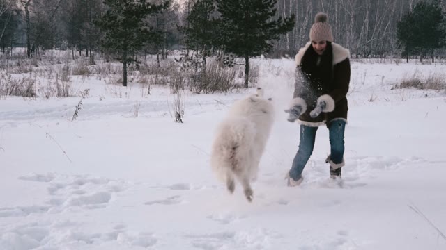 Young Girl Playing With A Dog In Winter Park. Slow Motin