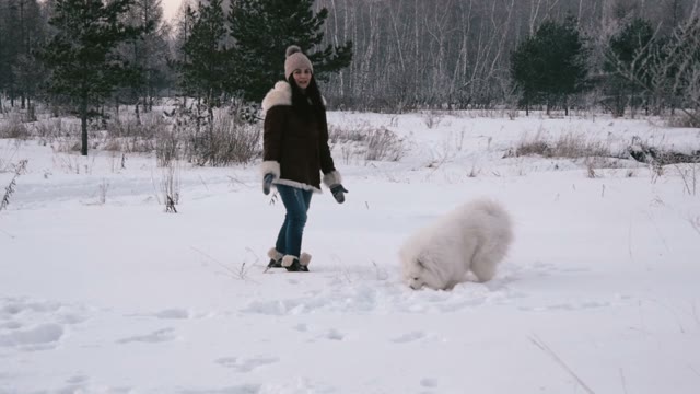 Girl Walking With A Dog In The Winter Woods. Slow Motin
