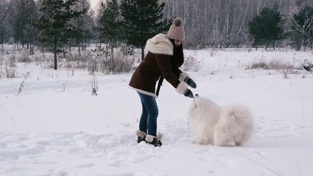 Young Girl Trains The Dog In The Winter Woods. Slow Motin