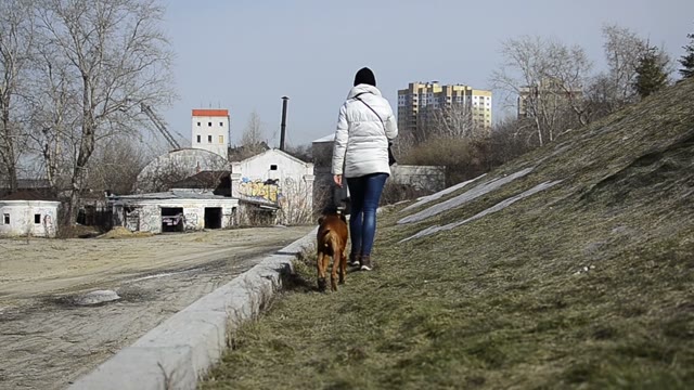 The Girl Goes To The Dog. Autumn