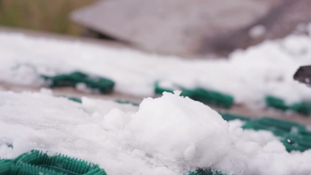 Dub Snow Shovel. Close-up