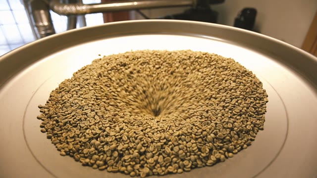 Green Coffee Beans Are Prepared For Frying. Close-up