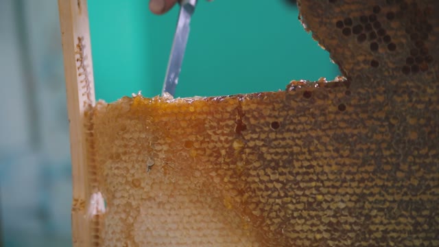 Cut Delicious Honeycomb Knife. Close-up