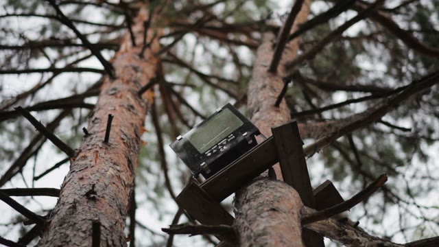 Radio On The Tree Against The Sky