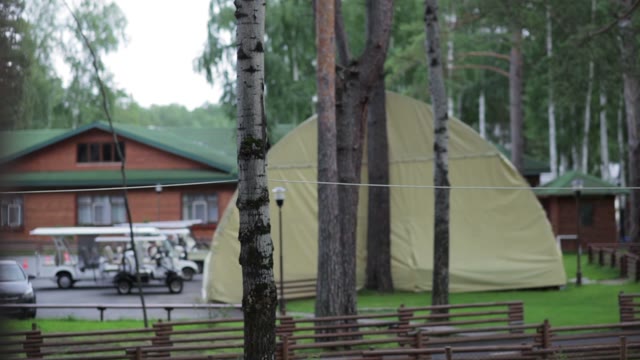 Man Preparing A Workplace In The Forest