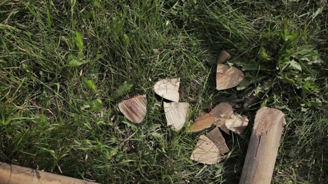 Pieces Of Logs On The Grass