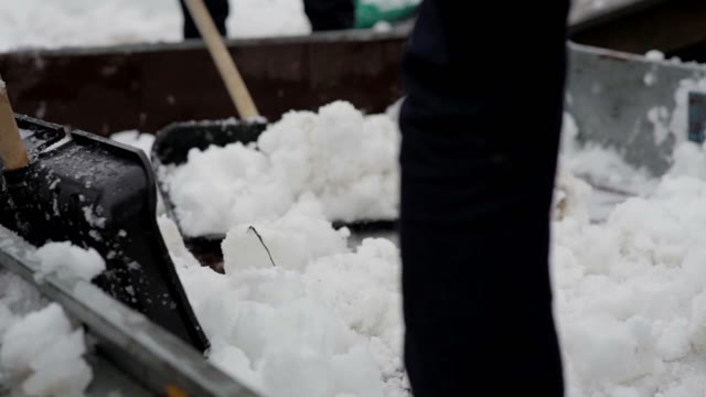 The Boys Cleaned The Snow