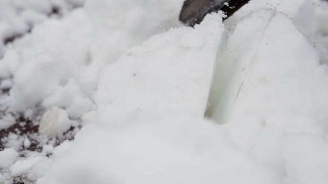 The Boys Cleaned The Road From Snow